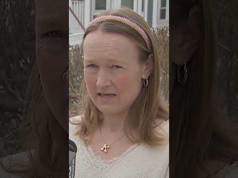 Weymouth hit-and-run survivor turns to $10K pet contest as ‘last hope’