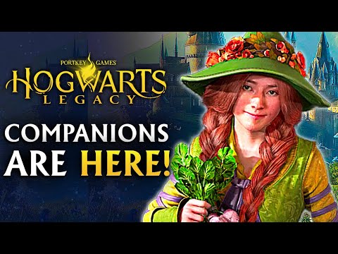 Hogwarts Legacy's New Companion Mod is Hilarious