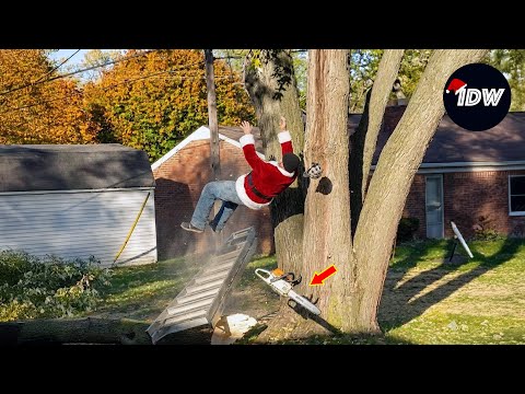 TOTAL IDIOTS AT WORK #785 | Instant Regret Fails Compilation 2025 | Best of the Week