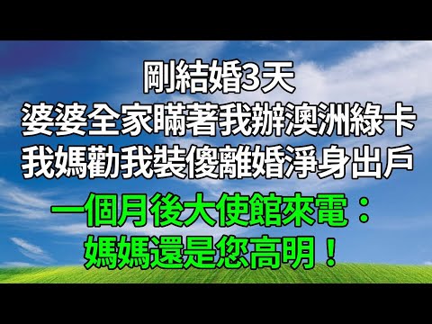 剛結婚3天，婆婆全家瞞著我辦澳洲綠卡，我媽勸我裝傻離婚淨身出戶。一個月後大使館來電：媽媽,還是您高明！#生活經驗 #人生感悟 #故事頻道 #打脸 #正能量 #原创视频