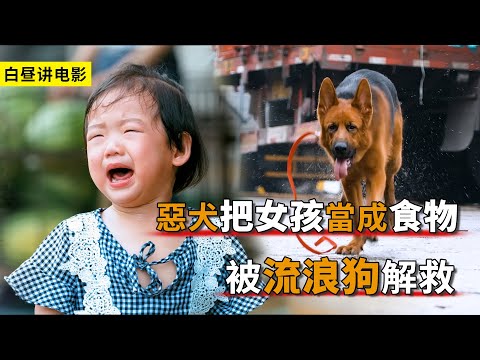 一只惡犬脫離了狗繩，把小女孩當成了食物，好在被流浪狗拯救！