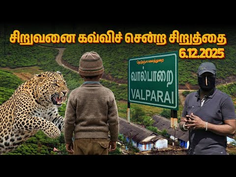Again a Child KILLED by an Leopard at Valparai #leopardattack #leopard #valparai #wildanimals #vlog