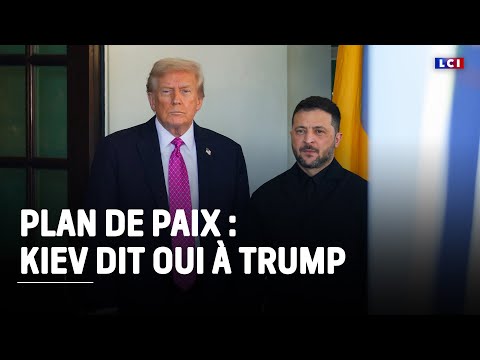 Guerre en Ukraine : Kiev accepterait le plan de paix, selon plusieurs médias américains｜LCI