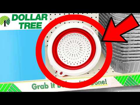 10 Things You SHOULD Be Buying at Dollar Tree in May 2025