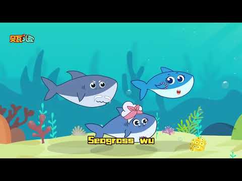 海草爱跳舞 | 貝瓦兒歌流行篇 | Beva Kids Songs | Nursery Rhymes | #兒歌 #儿童歌曲 #寶寶音樂