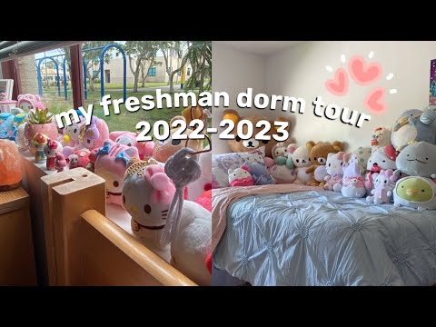 fau wilkes honors college dorm tour! ('22-'23 school year)