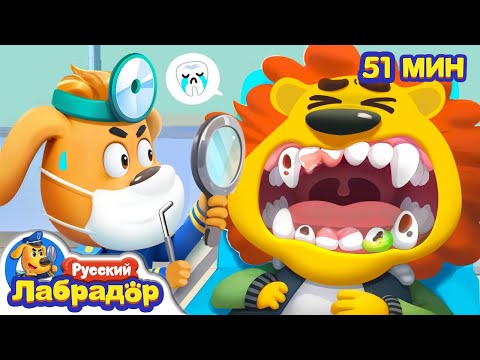 🦷Стоматолог | Безопасность в жизни | 🔍Сборник мультиков для детей | Шериф Лабрадор