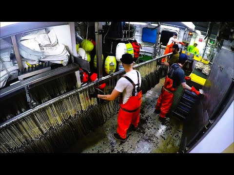 渔民出海如何在凶险的白令海捕鱼？大开眼界的延绳钓鱼，人均月薪高达15000美元