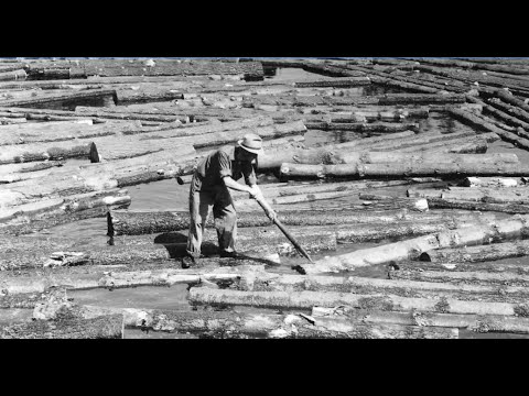 War For The Woods: The New England Timber Salvage Administration and The Disaster Loggers of 1938