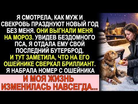 В новогоднюю ночь свекровь выставила меня на мороз. Пёс с бриллиантом спас мне жизнь
