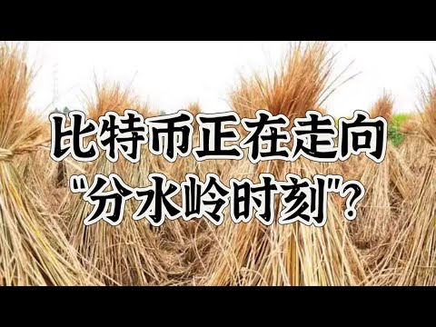 《2025/12/18》监管松绑与重拳并行，比特币正在走向“分水岭时刻”？