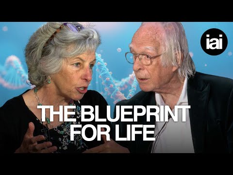 The genome bubble has burst | Denis Noble, Joanna Moncrieff, Stuart Kauffman