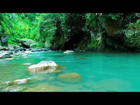 Nature Sound | Relaxing River Sounds- Peaceful Forest River-1 Hours long Nature Symphony