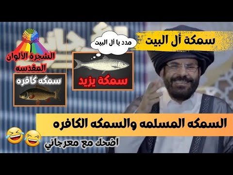 أكبر معرجاني || السمكه التي هربت من البحر وعاشت في اليابسه لأنها كانت تحب أل البيت . 🤣