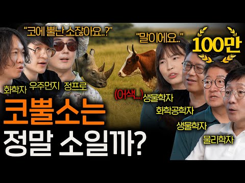 The Hidden Relatives of Animals Even Scientists Can't Believe (Bats and Whales...?) | See Science...