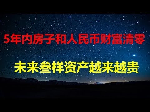 不出5年，房子财富清零，人民币大幅贬值；未来3样东西会越来越贵：自由国护照、美元资产和观念认知；5招教年轻人把握自己的未来。