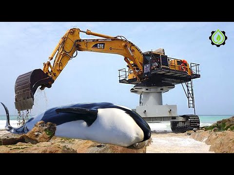 Jaw-Dropping Excavator Operator Skills So Crazy You’d Think They’re Fake! #16