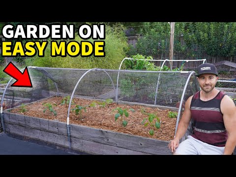 Gardening On EASY MODE: No Pests, No Weeds, No Watering! [DETAILED GUIDE]