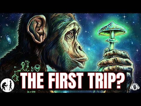 Did Shrooms Make Us Human? — The Stoned Ape Hypothesis Explained | Homo Sapiens