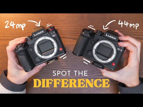 24MP vs 44MP: The Megapixel Test That Surprised Me!