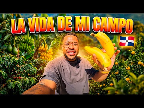 NO ME IMAGINABA QUE EL CAMPO EN RD FUERA ASÍ… 🌿🇩🇴