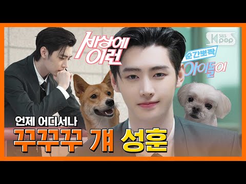 ENHYPEN's Mr. Dead Serious SUNGHOON | The Tale of the Northern Perfectionist Prince #SNAP_Cuteness