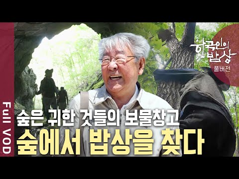 인생의 쉼표를 찾아 숲으로 떠난 사람들이 발견한 맛의 느낌표! '숲에서 밥상을 찾다' | 한국인의 밥상 - 쉼, 그리고 맛의 느낌표 | KBS 20240926 방송