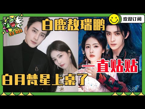 【白鹿X敖瑞鹏】原来你们是女A男O啊！敖瑞鹏躲进姐姐怀里好有安全感~白月梵星终于上桌了 | 8姐就爱扒八叭