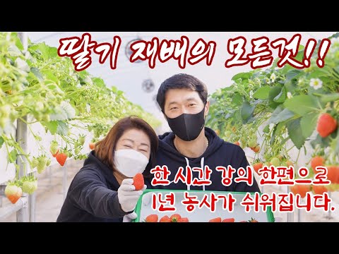 딸기 세미나 이거하나면 농사가 쉬워집니다