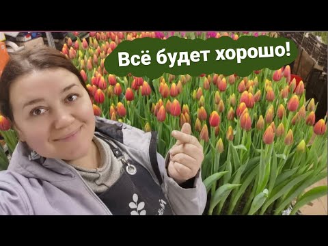 🌷Неделя до 8 марта | Цветочный магазин | Тюльпаны в гараже 🌷 Итоги