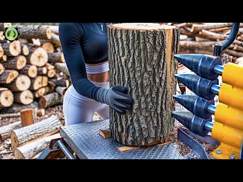 Fastest Biggest Firewood Processing Machine | Dangerous Big Chainsaw Cutting Tree machines #41