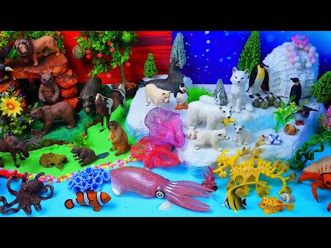 Learn Animals from 3 Worlds: Forest, Snow & Ocean!