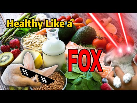 Healthy Like a Fox: Sleep