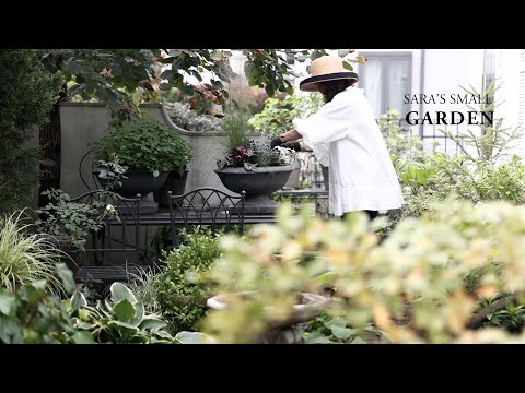 Fall Planting & Cafe-Style Recipes for a Relaxing Weekend