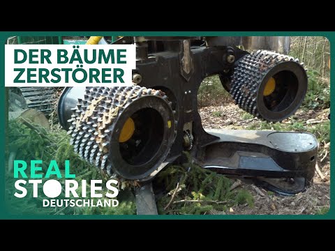 Doku: Der größte Baumschubser Deutschlands