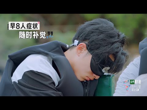 🌺早八人！王鹤棣早起接人完全迷离，上岛补觉武大靖无奈睡地板【五十公里桃花坞S2】