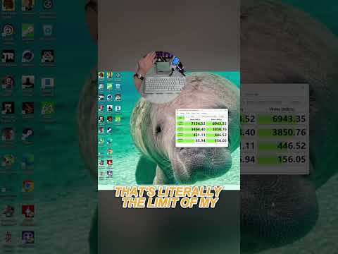 Tiny PC, Huge Performance: Gaming & AI in the Palm of My Hand