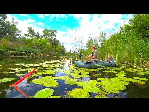 КРУПНЫЙ КАРАСЬ, ЛЕЩ, ПЛОТВА НА ПОПЛАВОК!! РЫБАЛКА ЛЕТОМ НА МАЛОЙ РЕКЕ