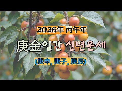 2026년 丙午年 庚金일간(庚申,庚子,庚辰일주) 신년운세 [상담및 교육문의 : 010-4983-7972]