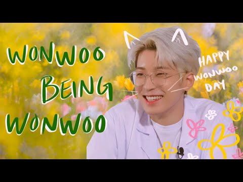 All the reasons for loving wonwoo | happy wonwoo day (*˘︶˘*).｡.:*♡