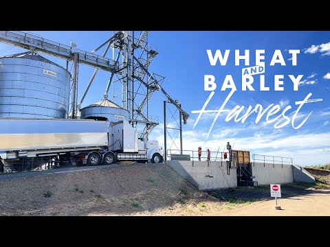 2021 Wheat & Barley Harvest – Farming Australia, Moree