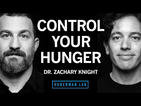 The Science of Hunger & Medications to Combat Obesity | Dr. Zachary Knight