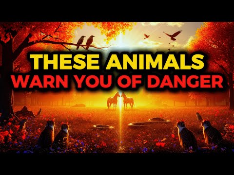 7 Animals God Uses to Warn His Chosen Ones | Spiritual Signs of Danger