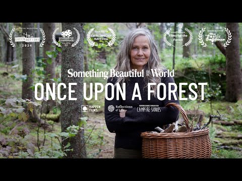 Once Upon a Forest: A Twig Poet’s Rewilding Journey