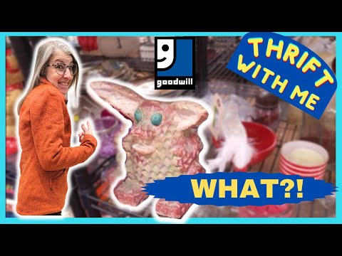WHAT IS THAT?! Thrift With Me | Las Vegas Goodwill