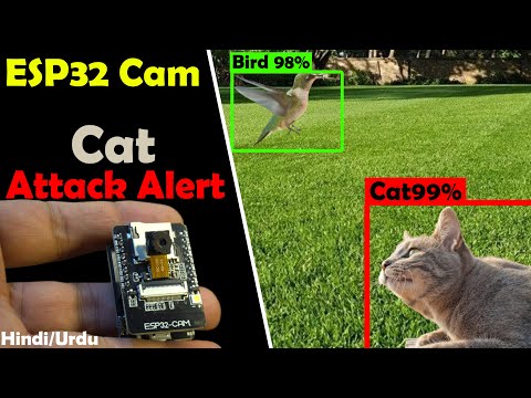 ESP32 CAM with Python OpenCV Yolo V3 for object detection and Identification  اردو | हिन्दी