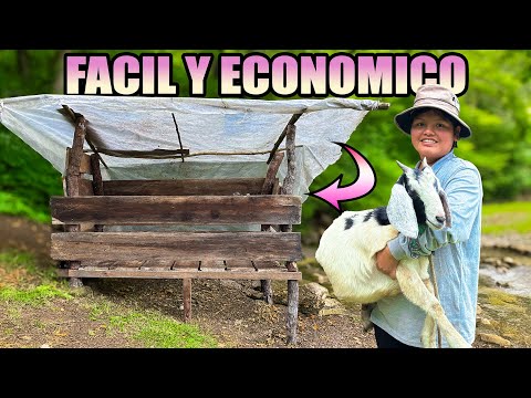Construi una casa de madera para mi chivo en medio de la montaña - NATHALIA