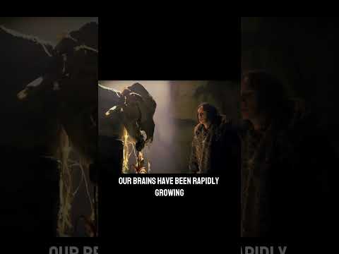 Why We Have Big Brains