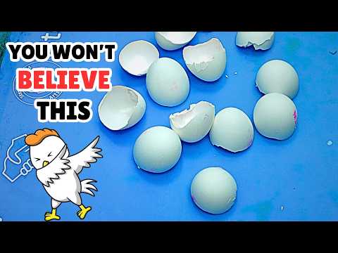 Look What He Does With Eggshells.