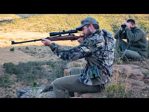 Eastern Cape plains game hunt - Bushbuck